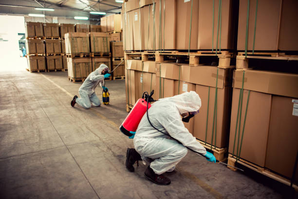 Best Residential Pest Control  in Kiln, MS