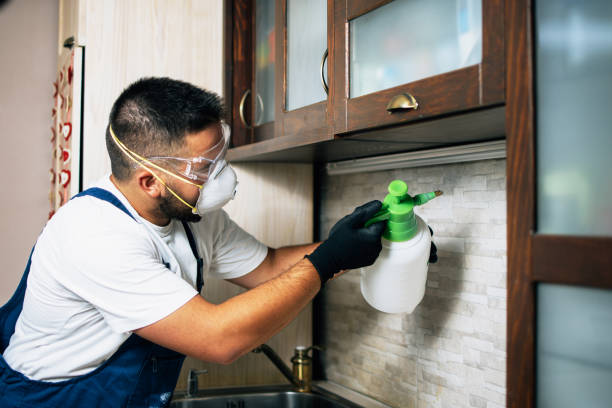 Pest Prevention Services in Kiln, MS