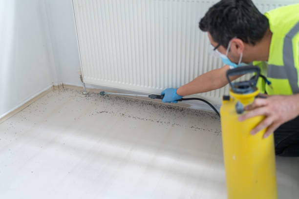 Best Mosquito Control Services  in Kiln, MS